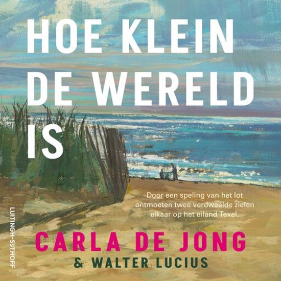 Hoe klein de wereld is - cover