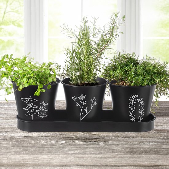 Pot de fleurs pour herbes sur pied BLACKLINE 4 c. à soupe - Pot de fleurs