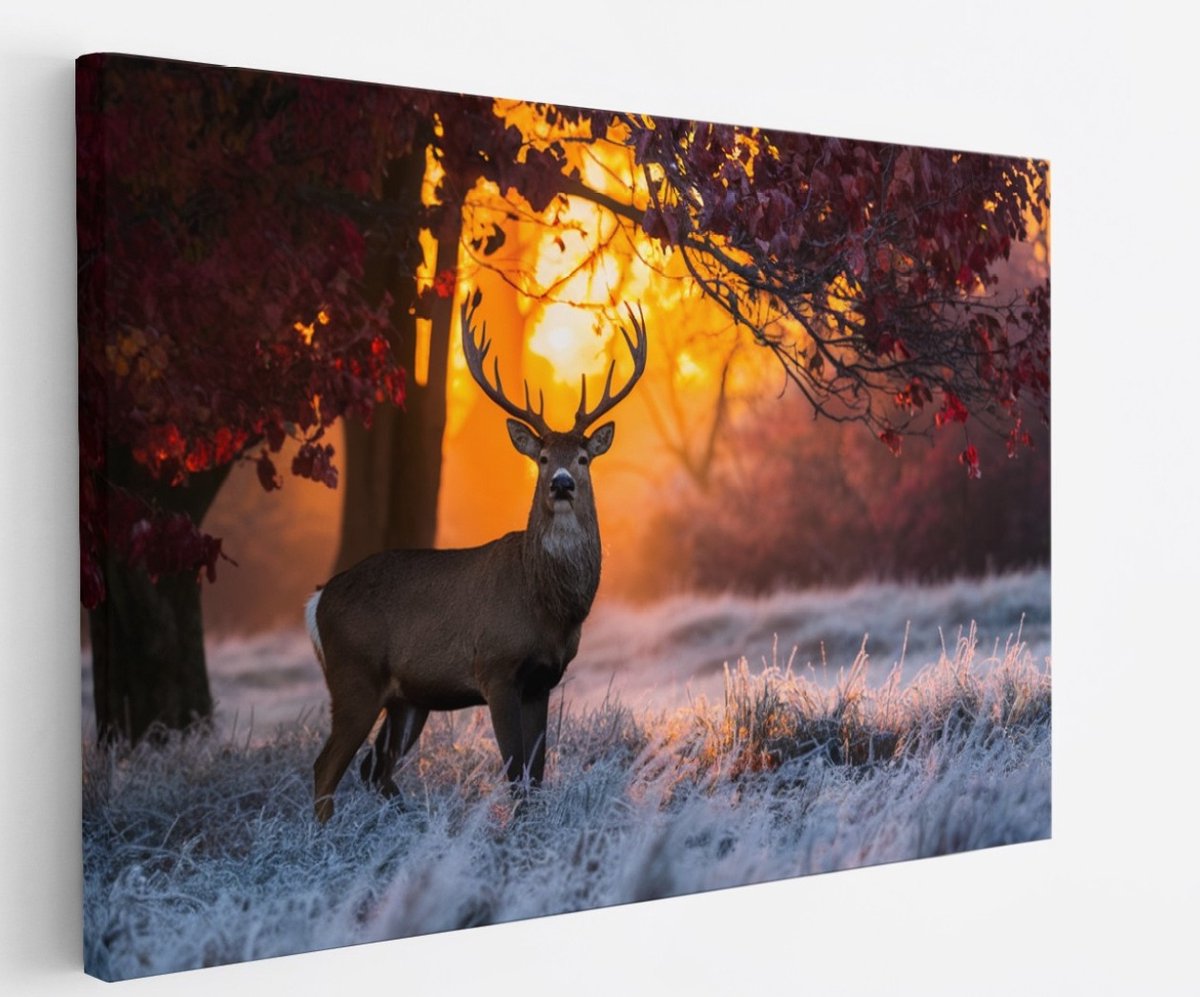 Saammp Canvas Schilderij - Hert in de zon - Natuur - Dieren - 50x40 - Foto op canvas - Wanddecoratie - Muurdecoratie Woonkamer - Slaapkamer decoratie - Canvas Print Multicolor