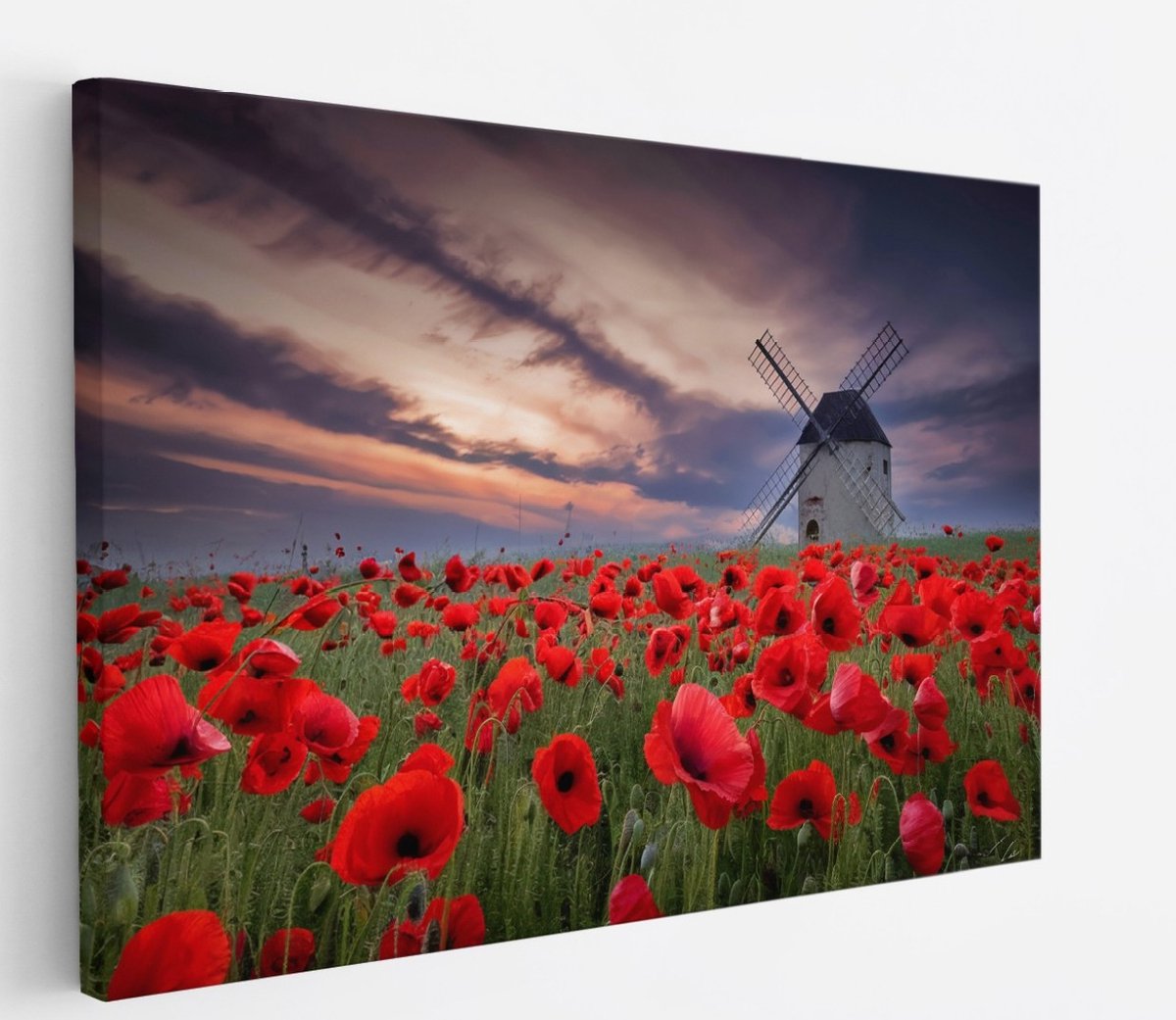 Saammp Canvas Schilderij - Klaprozen met molen - Bloemen - Landschap - Natuur - 120x80 - Foto op canvas - Wanddecoratie - Muurdecoratie Woonkamer - Slaapkamer decoratie - Canvas Print Multicolor