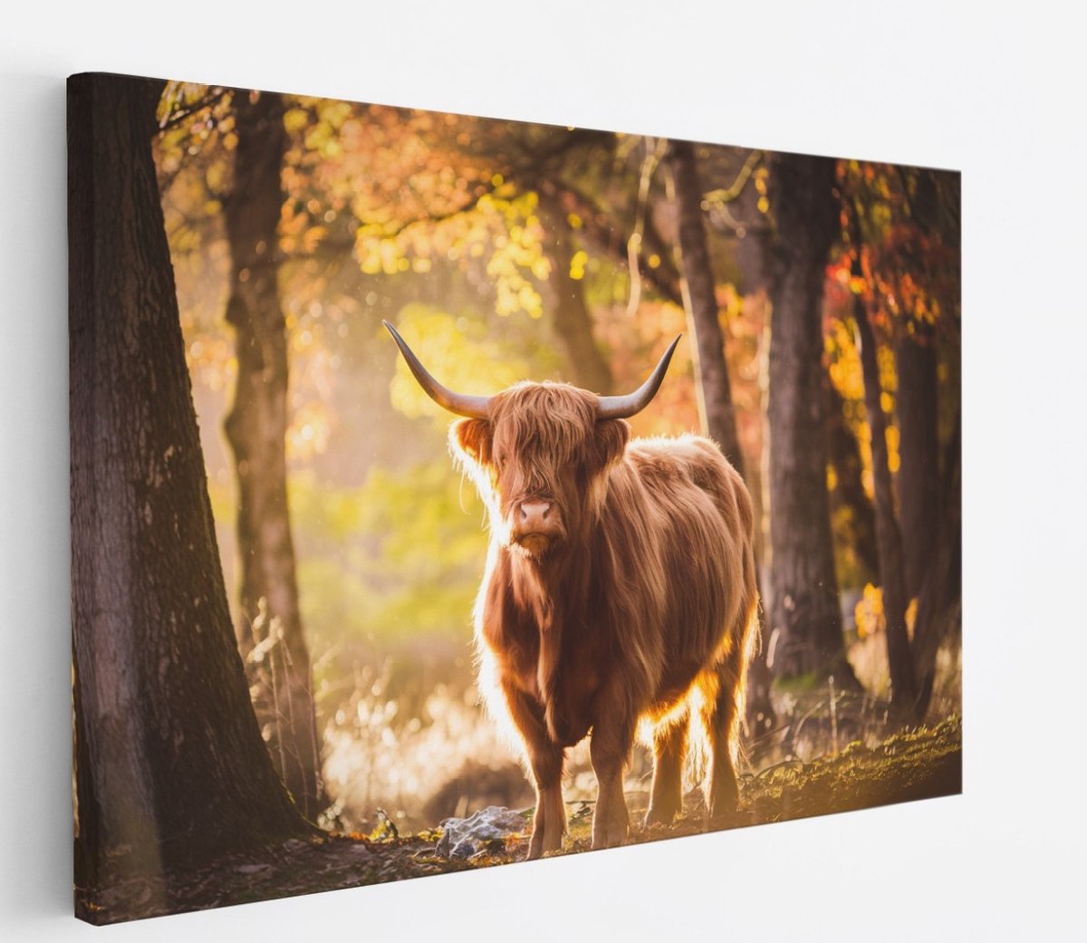 Saammp Canvas Schilderij - Schotse Hooglander Koe in de sneeuw - Dieren - Natuur - 45x30 - Foto op canvas - Wanddecoratie - muurdecoratie Woonkamer - Slaapkamer decoratie - Canvas Print Multicolor