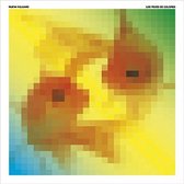 Los Peces De Colores