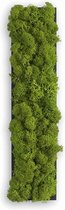 Stylegreen Alfabet letters A t/m Z - Reindeer moss - 25cm