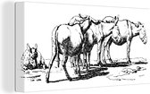 Une illustration de quelques ânes 40x20 cm - Tirage photo sur toile (Décoration murale salon / chambre)
