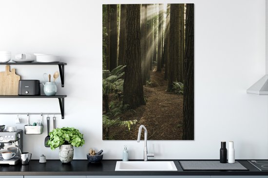 Canvas Schilderij Zonnestralen tussen de Redwood bomen - 80x120 cm - Wanddecoratie