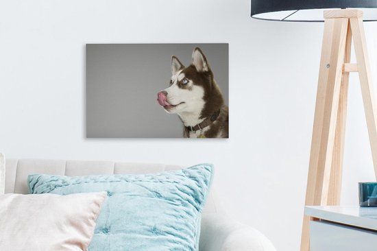 Husky lèche le nez sur toile 2cm 30x20 cm - petit - Tirage photo sur toile (Décoration murale salon / chambre) / animaux sauvages Peintures sur toile