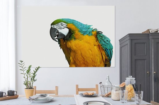 Perroquet devant toile de fond blanc 2cm 180x120 cm - Tirage photo sur Toile (Décoration murale salon / chambre) / Animaux sauvages Peintures sur toile XXL / Groot format!