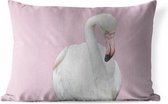 Buitenkussens - Tuin - Witte flamingo - 60x40 cm