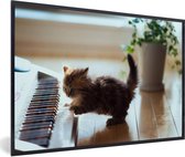 Chaton jouant avec un cadre photo piano noir sans tapis