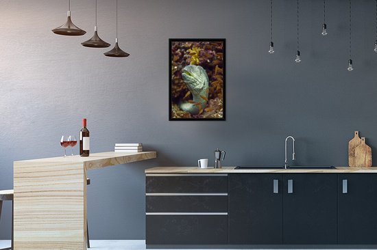 Fotolijst incl. Poster - Vis - Koraal - Oceaan - 40x60 cm - Posterlijst