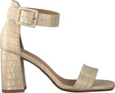 Notre-V Ai74m Sandalen - Dames - Goud - Maat 41