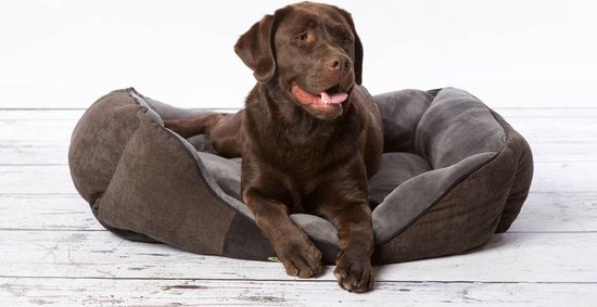 Scruffs Chester Box Bed - Hondenmand Zacht en Stevig - Anti-Slip - Wasbaar - Grijs - XL - Scruffs