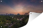 Muurdecoratie Prachtige sterrenhemel boven Gardens by the Bay in Singapore - 180x120 cm - Tuinposter - Tuindoek - Buitenposter