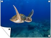 Muurdecoratie buiten Een groene schildpad zwemt in blauw water - 160x120 cm - Tuindoek - Buitenposter