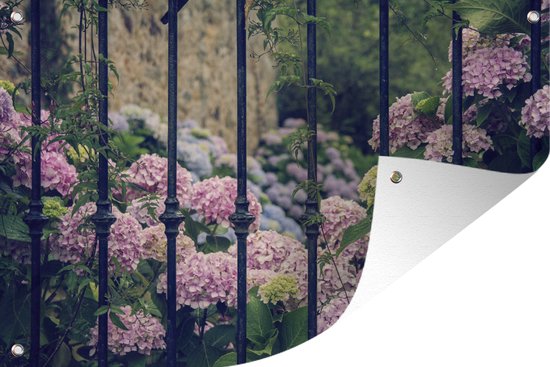 Muurdecoratie Hortensia struiken achter het hek - 180x120 cm - Tuinposter - Tuindoek - Buitenposter
