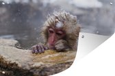 Tuinposter - Tuindoek - Tuinposters buiten - Japans - Baby - Sneeuw - 120x80 cm - Tuin