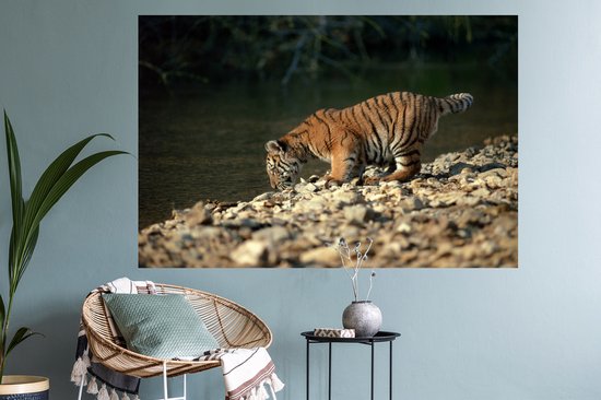 Sticker Muursticker Bébé tigre - bébé tigre - 120x80 cm - film adhésif autocollant - sticker mural repositionnable