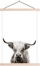 Posterhanger incl. Poster - Schoolplaat - Schotse Hooglander - Wit - Koe - 60x90 cm - Blanke latten
