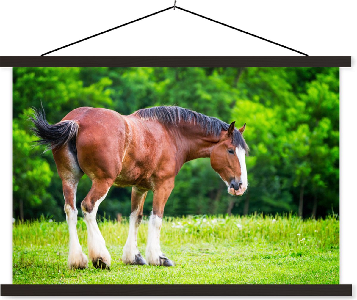 Posterhanger incl. Poster - Schoolplaat - Clydesdale - Paarden - Bloemen - 150x100 cm - Zwarte latten - TextilePosters
