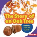 Step by Step - The Story of an Oak Tree