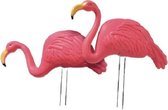 Amscan Tuinprikkers Flamingo 54 X 43 Cm Roze 2 Stuks