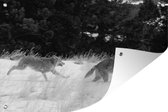 Tuinposter - Tuindoek - Tuinposters buiten - Twee rennende wolven - zwart wit - 120x80 cm - Tuin