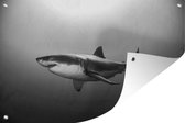 Tuinposter - Tuindoek - Tuinposters buiten - Zijaanzicht grote witte haai - zwart wit - 120x80 cm - Tuin
