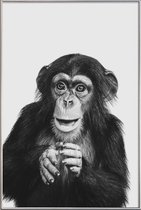 JUNIQE - Poster met kunststof lijst Chimpanzee II -20x30 /Grijs &