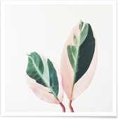 JUNIQE - Poster Pink Leaves -50x50 /Grijs & Groen