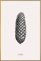 JUNIQE - Poster met kunststof lijst Pine Cone III -30x45 /Grijs &