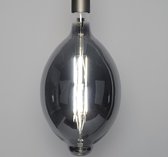 DePauwWonen Lichtbron Led Filament Ovaal