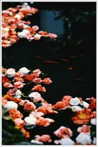 JUNIQE - Poster met kunststof lijst Serenity @lissaabird -30x45