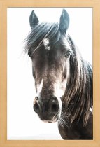 JUNIQE - Poster in houten lijst Horse -20x30 /Bruin & Ivoor