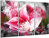 Glasschilderij Bloem - Roze, Wit, Grijs - 120x80cm 3Luik - Foto Op Glas - Geen Acrylglas Schilderij - GroepArt 6000+ Glas Art Collectie - Maatwerk Mogelijk