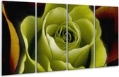 GroepArt - Glasschilderij - Roos - Groen, Wit, Zwart - 160x80cm 4Luik - Foto Op Glas - Geen Acrylglas Schilderij - 6000+ Glasschilderijen Collectie - Wanddecoratie