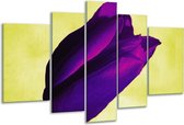 Peinture sur verre tulipe | Violet, vert, blanc | 170x100cm 5 Liège | Tirage photo sur verre |  F003734