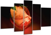Glasschilderij Roos - Oranje, Zwart, Groen - 170x100cm 5Luik - Foto Op Glas - Geen Acrylglas Schilderij - 6000+ Glasschilderijen Collectie - Wanddecoratie
