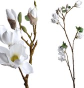 PTMD Magnolia bloem white spray long