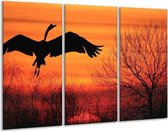 GroepArt - Schilderij -  Vogels - Zwart, Oranje, Rood - 120x80cm 3Luik - 6000+ Schilderijen 0p Canvas Art Collectie
