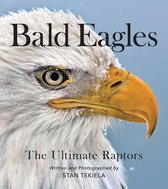 Favorite Wildlife - Bald Eagles