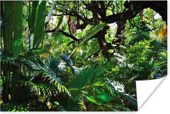 Poster Prachtige patronen van bladeren en bomen in een regenwoud - 30x20 cm