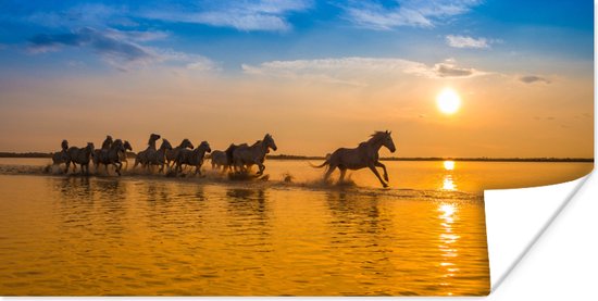Troupeau de chevaux galope en Camargue au coucher du soleil poster papier 40x20 cm - Tirage photo sur Poster (décoration murale salon / chambre)