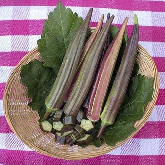 Okra zaden – Burgundy