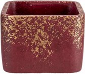 Gold Bloempot voor Binnen en Buiten - Plantenbak - Plantenpot - Aubergine - 14,5x14,5xh11,5cm - Vierkant Cement