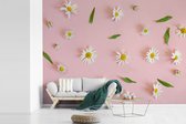 Behang - Fotobehang Madeliefjes op roze achtergrond - Breedte 385 cm x hoogte 280 cm