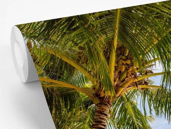 Chaises longues entre les palmiers sur une plage de Bali fotobehang