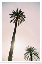 JUNIQE - Poster Palm Trees -20x30 /Roze