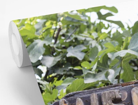 Papier peint photo peint photo vinyle - Un panneau de bienvenue largeur 330 cm x hauteur 220 cm - Tirage photo sur papier peint (disponible en 7 tailles)