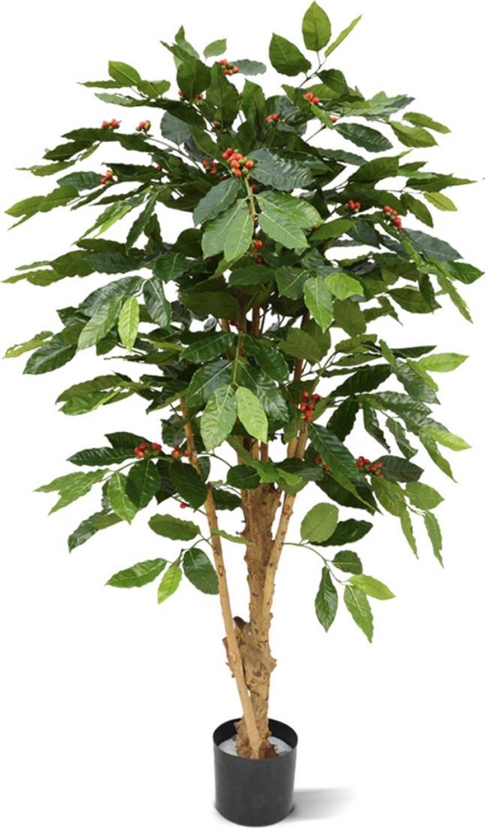 maxifleur Kunstplanten Coffee Arabica kunstplant deluxe 150cm N Groen