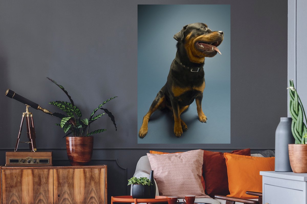 Jojalarning eski fotosuratlari